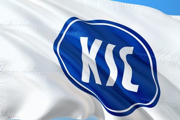 Bild der Petition Einstellung der Ermittlungen des DFB gegen den Karlsruher Sport Club