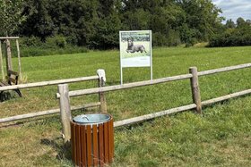 Bild der Petition: Einzäunung der Hundewiese in der Wilhelminenaue in Bayreuth.