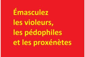 Image of the petition: Émasculez les violeurs, les pédophiles et les proxénètes.