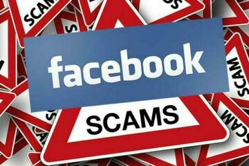 Image of the petition End SCAM on Facebook