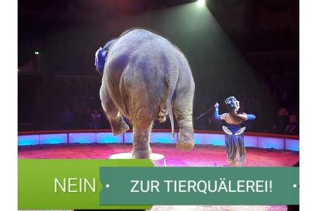 Bild der Petition: NEIN zu Tieren im Zirkus! NEIN zur Tierquälerei! JA zum TierSchG!!