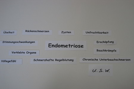 Billede af andragendet:Endometriose, eine viel verbreitet gynäkologische Krankheit, die kaum einer kennt