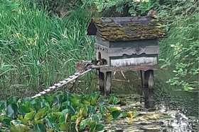 청원서 이미지: Ententeichrettung Klingelbach