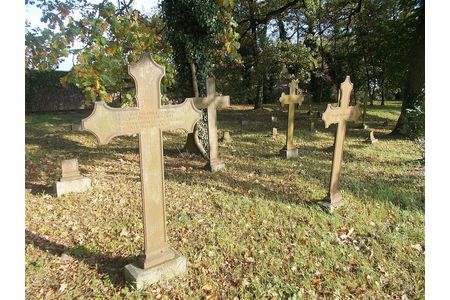 Bild på petitionen:Ochrona i zachowanie starego cmentarza w Kobylance