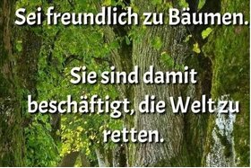 Obrázok petície: Erhalt der alten Eichen im Zuge des Brückenneubaus an der S234 über den Schwarze-Elster-Kanal