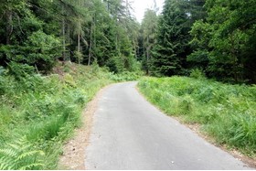 Foto van de petitie:Erhalt der asphaltierten Wege "Waldtalstraße" und "Hans-Helmut-Paul-Weg"