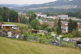 Peticijos nuotrauka:Erhalt der Familiengärten an der Ruckhalde in der Stadt St. Gallen, Schweiz