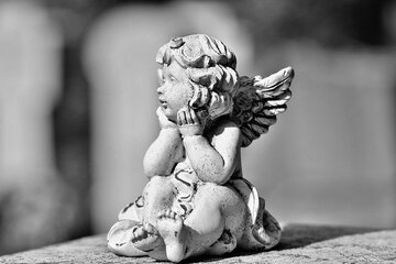 Bild der Petition Erhalt der Friedhofsruhe Am Allerbeek in Jesteburg_NEU