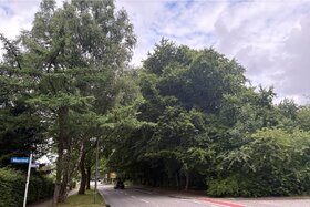 Өтініш суреті: Erhalt der Grünfläche am Garstedter Weg – bessere Alternativroute für die Veloroute 14 prüfen!