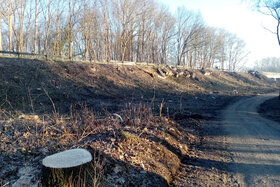Bild der Petition: Erhalt der letzten Bäume am Südschnellweg in Hannover ohne den Tunnelbau in Döhren zu gefährden