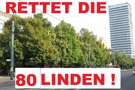 Bild der Petition: Erhalt der Linden in der Magistrale - Frankfurt(Oder) Karl-Marx-Straße