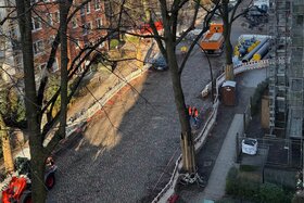 Imazhi i peticionit: Erhalt der Pflasterung in der Tresckowstrasse Eimsbüttel!