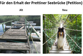 Kép a petícióról:Erhalt der Seebrücke Prettin 2022