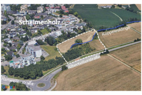 Bild der Petition: Erhalt der Wildblumenwiese am Koppelesbach
