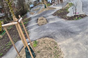 Image of the petition: Erhalt des Pumptracks im Martini-Wohnpark Felben-Wellhausen
