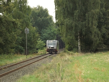 Photo de la pétition :Erhalt des Schienenpersonennahverkehrs auf der Strecke Lu. Wittenberg - Bad Schmiedeberg