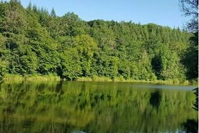 Bild der Petition: Erhalt des Sulzbachsees ohne jegliche bauliche Veränderungen