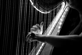 Obrázek petice:Erhalt einer vollen Harfenprofessur an der Hochschule für Musik "Hanns Eisler" Berlin