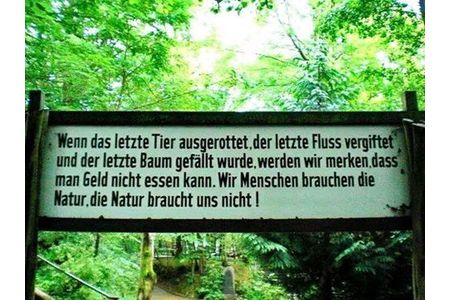 Dilekçenin resmi:Erhalt eines Naturidylls, Zuflucht, Rückzugsort und Lebensraum einiger geschützter Tierarten !!!