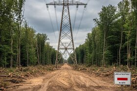 Bild der Petition: Erhalt eines wichtigen Naherholungs- und Lernraums für Kinder am Niederrhein