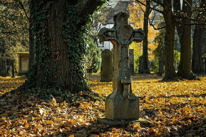 Slika peticije Erhalt Personalstelle Friedhofsgärtner der Stadt Lebus