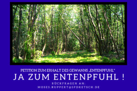 Peticijos nuotrauka:Erhalt von 42 HA Wald im Gewann „Entenpfuhl“