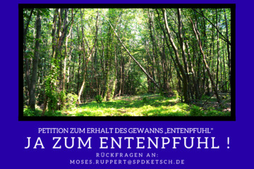 Bild der Petition Erhalt von 42 HA Wald im Gewann „Entenpfuhl“