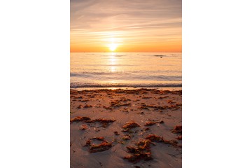 Bild der Petition Erhalt der freien Sicht auf den Horizont in Warnemünde - Rostock!