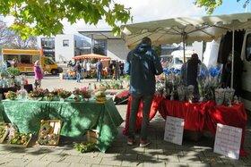 Bild der Petition: Erhaltung des Dortelweiler Wochenmarktes am Samstag