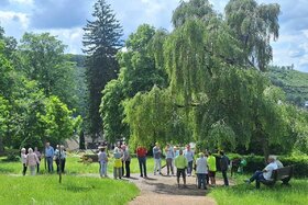 Bild der Petition: Erhaltung des evangelischen Friedhofes Netphen