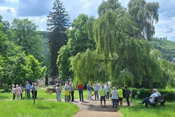 Bild der Petition Erhaltung des evangelischen Friedhofes Netphen
