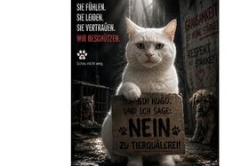 Bild der Petition: Erhöhung von Strafen für Tierquälerei