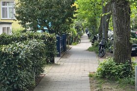 Billede af andragendet: Erneute Prüfung der Umgestaltung der Wrangelstraße —> Wegfall vieler Parkplätze (>50%)