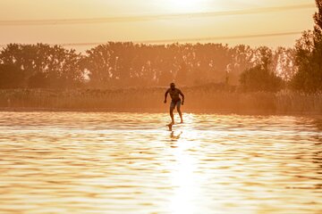 Image of the petition Errichtung eines Pumpfoildocks in Heidelberg