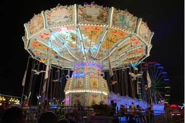 Bild der Petition Ersatz Rudolstädter Vogelschießen