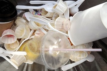 Image de la pétition Es braucht auch Abfalleimer im Zug