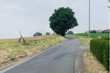 Bild der Petition Esterweger Bürger wehren sich! WIR wollen KEINE Mietblöcke/Investoren auf dem Vogelberg/Mühlenweg