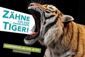 Bild der Petition: EU-Richtlinie zur Nachhaltigkeitsberichterstattung droht ein zahnloser Tiger zu werden!