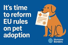 Beeld van die petisie: EU: Das Adoptionsverfahren für gerettete Tiere aus dem Ausland vereinfachen