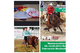 Poza petiției:EWU Turnier in Meckesheim