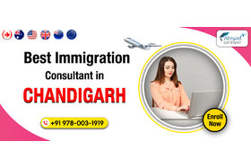 Obraz petycji: Expert Help from Student Visa Consultants in Chandigarh for Study Abroad