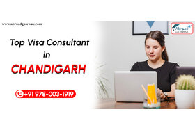 Εικόνα της αίτησης: Expert Visa Consultants for Temporary Visa Chandigarh