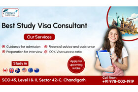 Bild der Petition: Expert Visa Consultants in Chandigarh for Hassle-Free Service