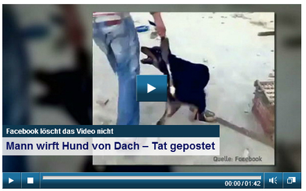 Bild der Petition: Facebook - Löschung des Online Videos "Mann wirft Hund von Dach!"