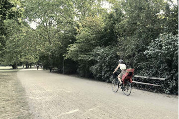 Bild der Petition Fahrradhauptwege im Leipziger Auenwald und in den Parks befestigen!