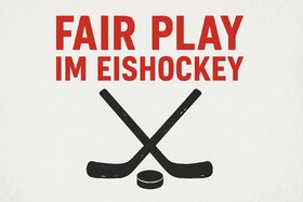 청원서 이미지: Fair Play DEL - Für konsequente Sanktionen bei wiederholten Regelverstößen der Eisbären Berlin