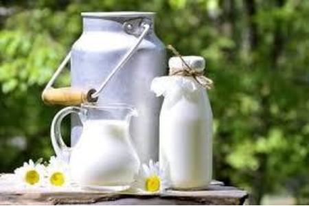 Bilde av begjæringen:Fairer Milchpreis-weg von der Massenproduktion