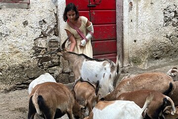 Image of the petition Fattoria didattica a Losone