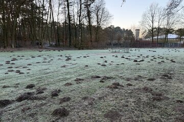 Bild der Petition Fehlender Bolzplatz im Stadtbezirk Senne