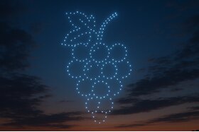 Bild der Petition: Feiern ohne Feuerwerk an Bodenheimer Festen und Veranstaltungen!